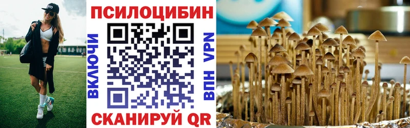 Псилоцибиновые грибы мицелий  как найти наркотики  blacksprut зеркало  Псков 