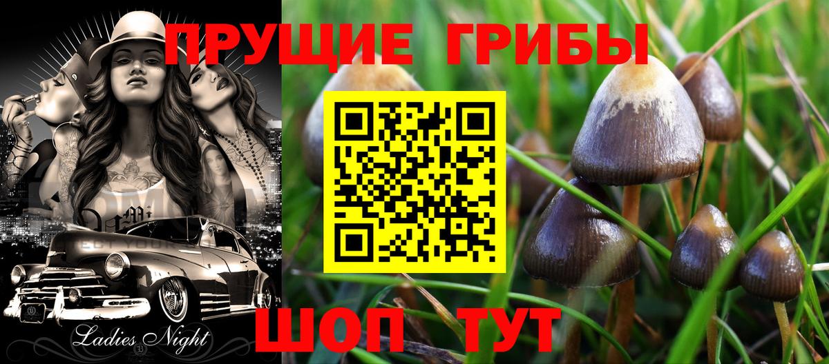 Псилоцибиновые грибы MAGIC MUSHROOMS Псков