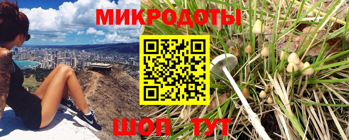 Псков  Псилоцибиновые грибы Psilocybe  Галлюциногенные грибы GOLDEN TEACHER  Вход с VPN 