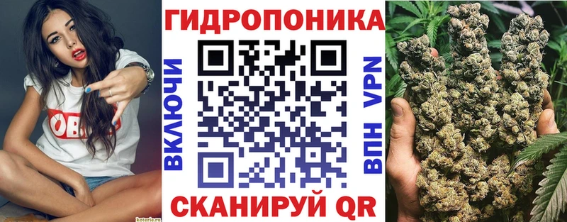 Шишки марихуана THC 21%  Псков 