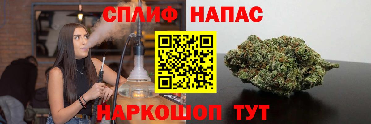 Бошки Шишки планчик Псков