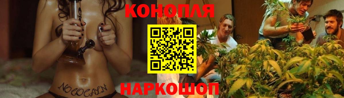 Псков  Конопля Bruce Banner  Каннабис конопля  Бошки Шишки конопля  Вход с VPN  Шишки марихуана Ganja 
